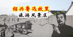 啊嗯h视频中国绍兴-鲁迅故里旅游风景区